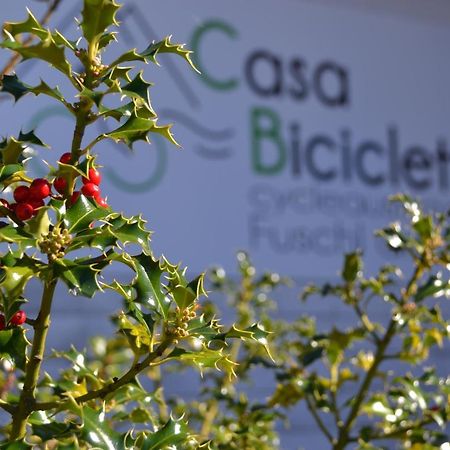 Casa Bicicletta Apartment Fuschl am See Bagian luar foto